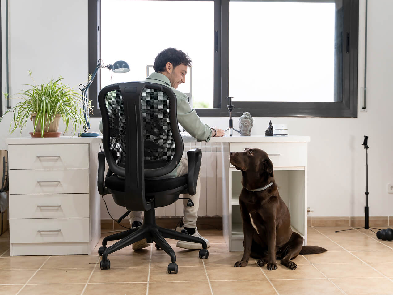 a healthy work life balance